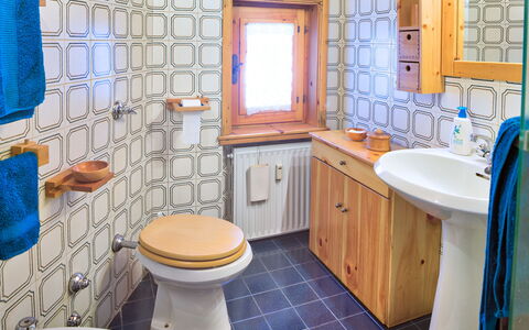 The Twins Apartment - Champoluc: Bathroom, Property, Room, Blue, Interior Design, Tile, House, Toilet Seat, Real Estate, Floor