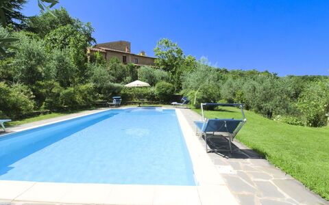 Villa Gioiosa: Swimming Pool, Resort, Eco Hotel, Outdoor Furniture, Estate, Hacienda, Villa, Backyard, Shade, Garden
