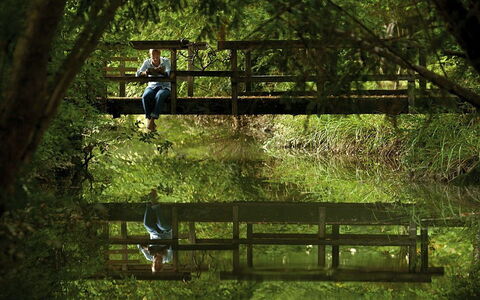 Ca' Marcello: Nature, Green, Tree, Nature Reserve, Natural Environment, Natural Landscape, Forest, Grass