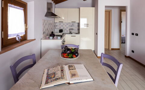 Accommodation:&nbsp;Viola