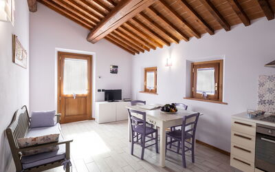 Accommodation:&nbsp;Viola