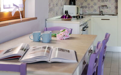 Accommodation:&nbsp;Viola