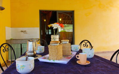 Accommodation:&nbsp;Terracotta