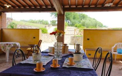 Accommodation:&nbsp;Terracotta