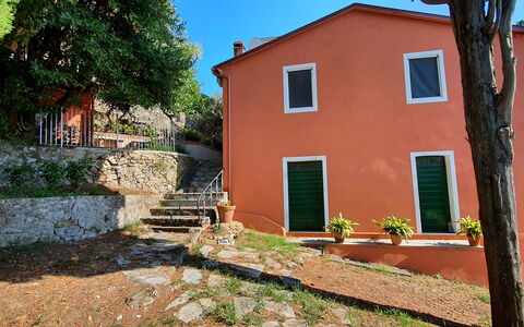 Collina Lagomare: Plant, Building, Property, Window, Sky, Stairs, House, Tree, Cottage, Wood