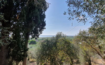 Collina Lagomare