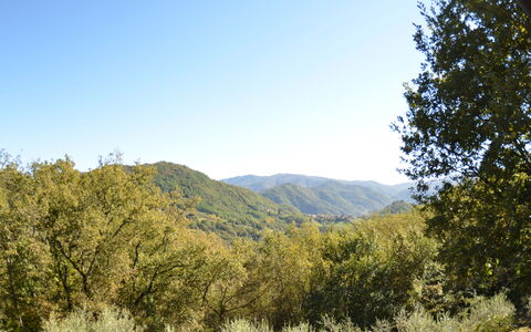 Vignoli: Mountainous Landforms, Vegetation, Nature, Natural Landscape, Tree, Sky, Mountain, Wilderness, Natural Environment, Hill