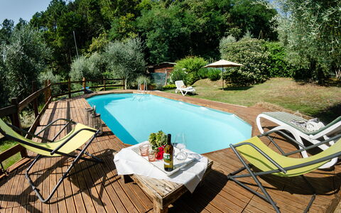 Podere L'istrice: Swimming Pool, Property, Leisure, Backyard, Real Estate, House, Vacation, Resort, Home, Sunlounger
