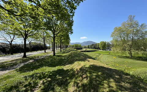 Alle Mura: Green, Grass, Nature, Natural Landscape, Vegetation, Grassland, Hill, Plain, Landscape, Land Lot