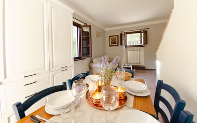 Accommodation:&nbsp;Morgana