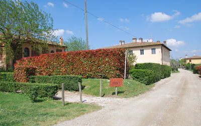agriturismo-cabbiavoli-chianti-multiproperty-casa-marcello-fico-external