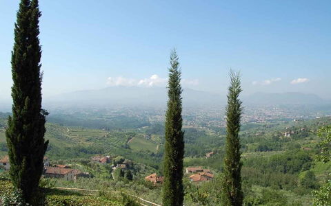 Borgo Antico Marina: Tree, Hill Station, Vegetation, Tropical And Subtropical Coniferous Forests, Wilderness, Biome, Plant, Plant Community, Forest, Mountain