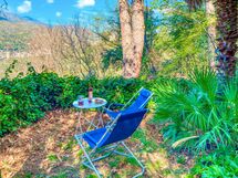 Olivi Del Mesco - Levanto