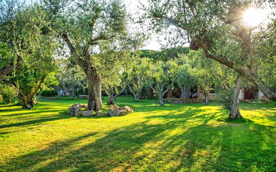 Villa Capalbio