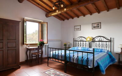 Accommodation:&nbsp;Luigi