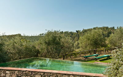 Casavecchia - Volpaia, Tuscany, Italy