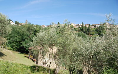 Magrini