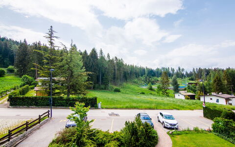 Accommodation:&nbsp;Belfiore 640.2