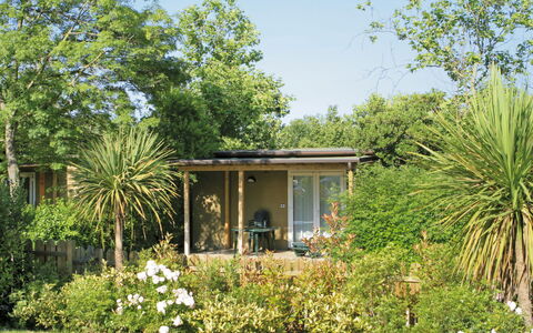 Grado 651: Plant, Flower, Plant Community, Building, Sky, Natural Landscape, Tree, Land Lot, House, Window