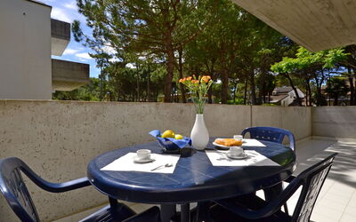 Accommodation:&nbsp;Parco Hemingway 701.38