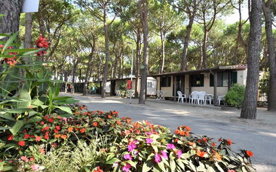 Accommodation:&nbsp;Camping Florenz 608.1
