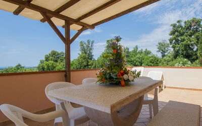 Accommodation:&nbsp;Il Felciaione 621.2