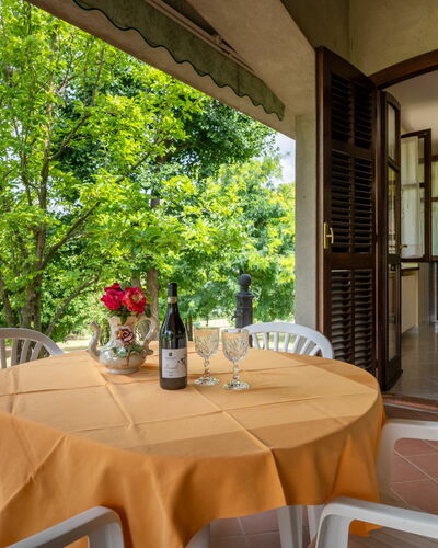 Culla di Stelle: Table, Plant, Furniture, Tableware, Property, Flower, Chair, Building, Tablecloth, Textile