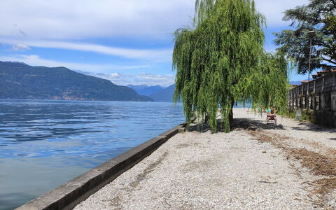Montesole: Cloud, Water, Sky, Wood, Lake, Road Surface, Tree, Coastal And Oceanic Landforms, Body Of Water, Bank