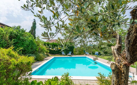 Ca' Del Vento: Water, Plant, Property, Swimming Pool, Azure, Sky, Tree, Shade, Vegetation, Body Of Water