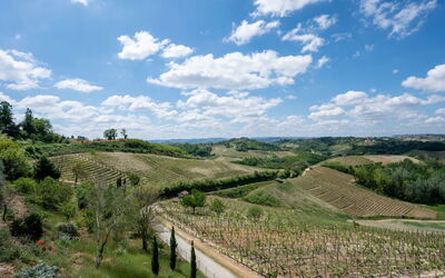 Accommodation:&nbsp;Agriturismo Colle di San Michele 604.2