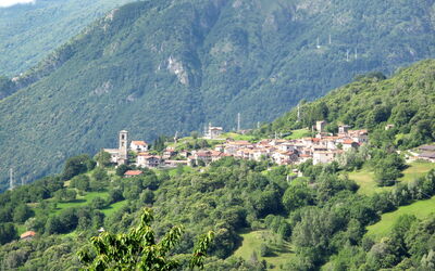 Bellavista Grv391