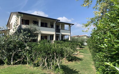 Accommodation:&nbsp;Primera 653.1