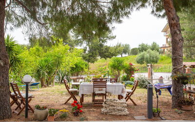 Accommodation:&nbsp;Michela 636.1