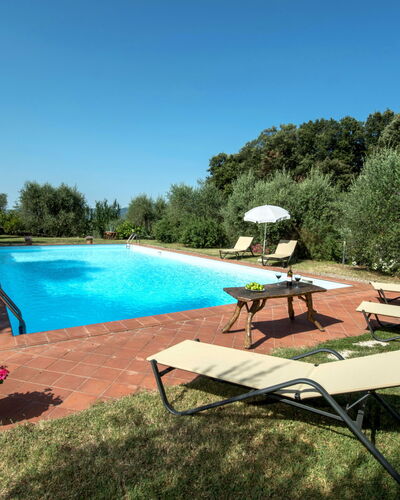 Siena 631: Water, Plant, Sky, Furniture, Swimming Pool, Tree, Azure, Shade, Outdoor Furniture, Sunlounger