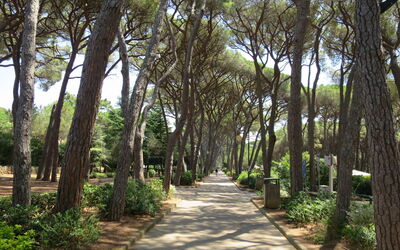 Vistamare