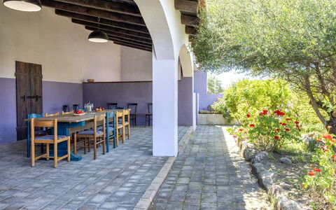 Oliviola: Garden, Shade, Hacienda, Backyard, Estate, Yard, Landscaping, Farmhouse, Outdoor Furniture, Outdoor Table