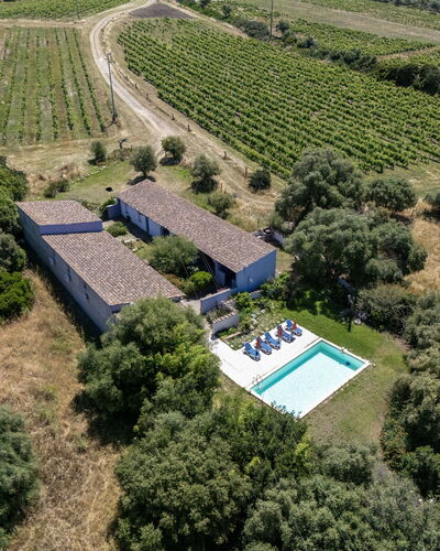 Oliviola: Estate, House, Residential Area, Swimming Pool, Farmhouse, Home, Human Settlement, Cottage, Resort, Hacienda
