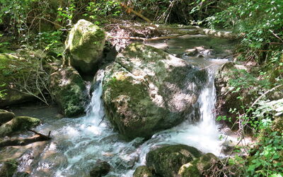 Acqua Santa