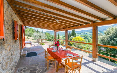 Il Felciaio