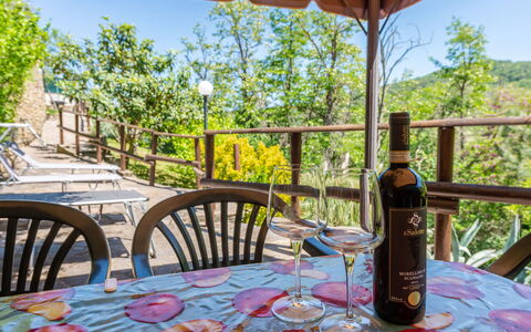 Vittorio: Table, Tableware, Property, Furniture, Sky, Drinkware, Chair, Bottle, Nature, Tree