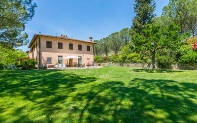 Castelfiorentino 649