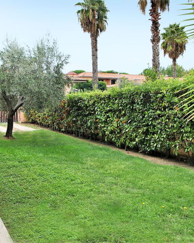 Barbie: Grass, Lawn, Green, Vegetation, Property, Tree, Grass Family, Palm Tree, Real Estate, Plant
