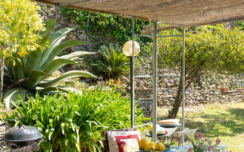 Molini di Prelà 627: Plant, Flowerpot, Botany, Houseplant, Chair, Yellow, Shade, Grass, Terrestrial Plant, Landscape