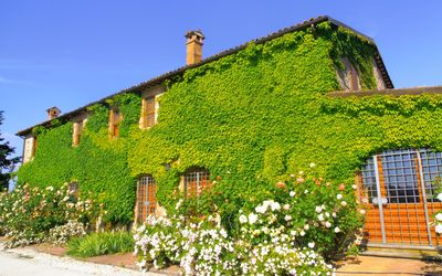 Villa Venanzo