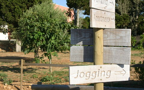 Tenuta Vigna Corallo: Wall, Tree, Land Lot, Landscape, Signage, Plant, National Park, Rock, State Park, Sign