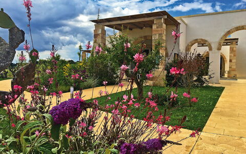 Tenuta Vigna Corallo: Flower, Garden, Plant, Property, Yard, Home, Sky, House, Residential Area, Botany