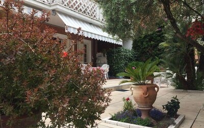 Casa Matilde: Property, House, Real Estate, Home, Building, Botany, Flowerpot, Houseplant, Courtyard, Tree