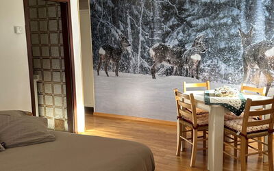 Accommodation:&nbsp;Piciol 300.3