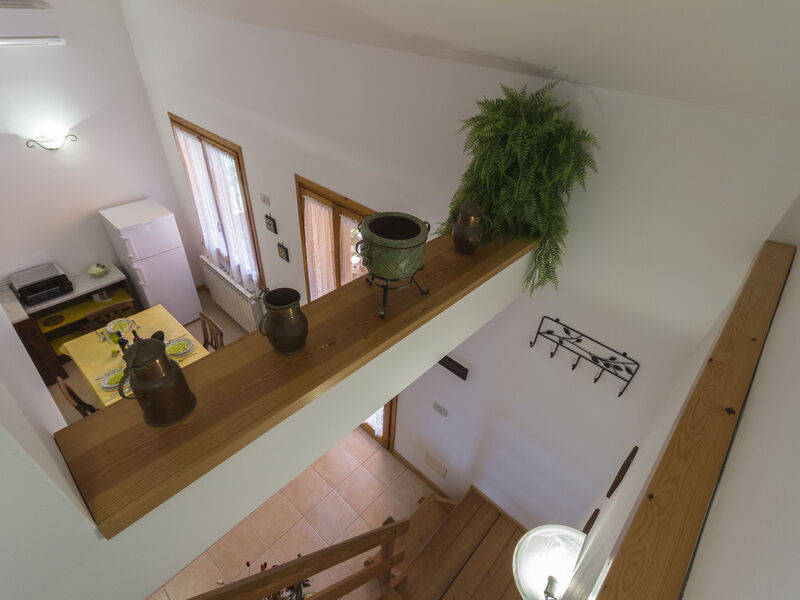 Accommodation:&nbsp;Narciso