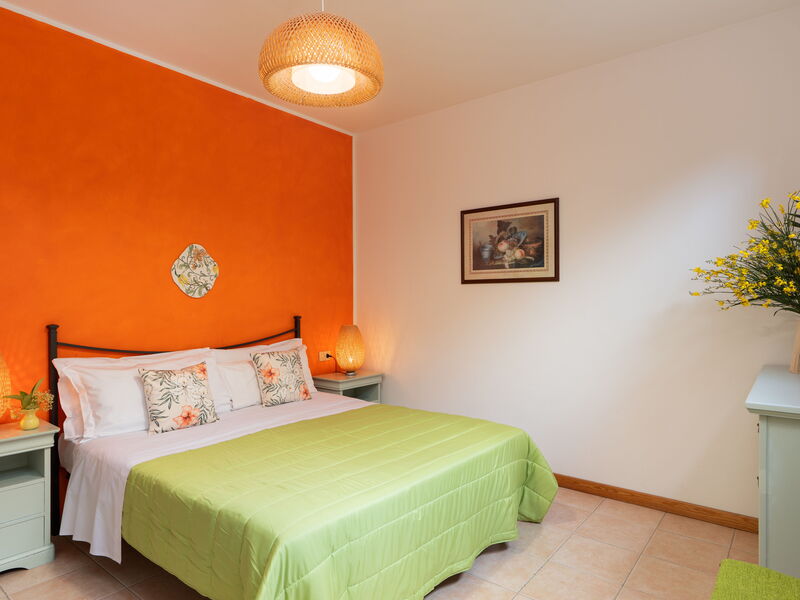 Accommodation:&nbsp;Begonia
